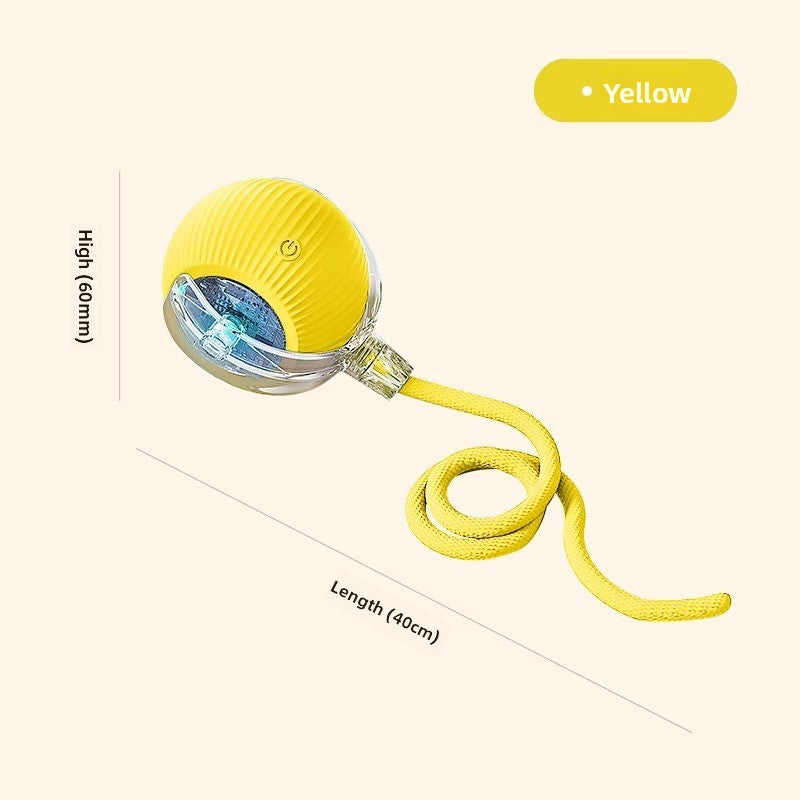 Automatic Interactive Dog Toy Ball with Obstacle Avoidance