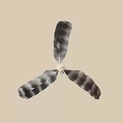 Interactive Feather Teaser Wand for Cats
