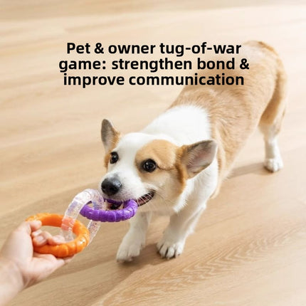 Three Ring Dog Chew Toy for Dental Health