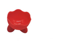 علبة بيض التجميل