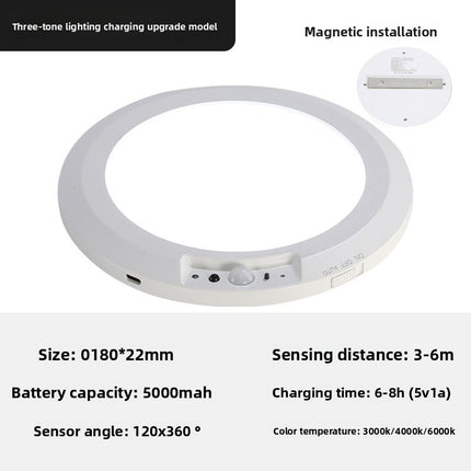 Wireless Sensor Ceiling Lamp with Remote Control