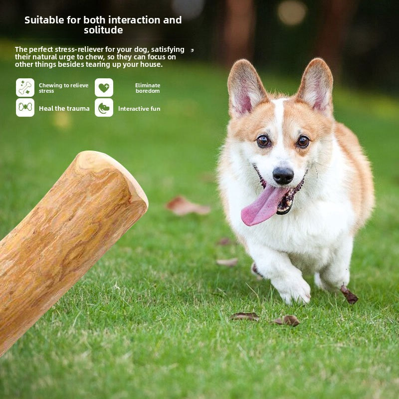 Selected Dog Grinding Stick Bite-resistant to relieve boredom and halitosis