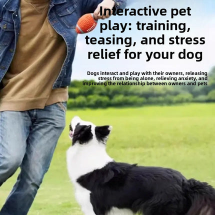 Durable Rubber Dog Chew Toy with Sound