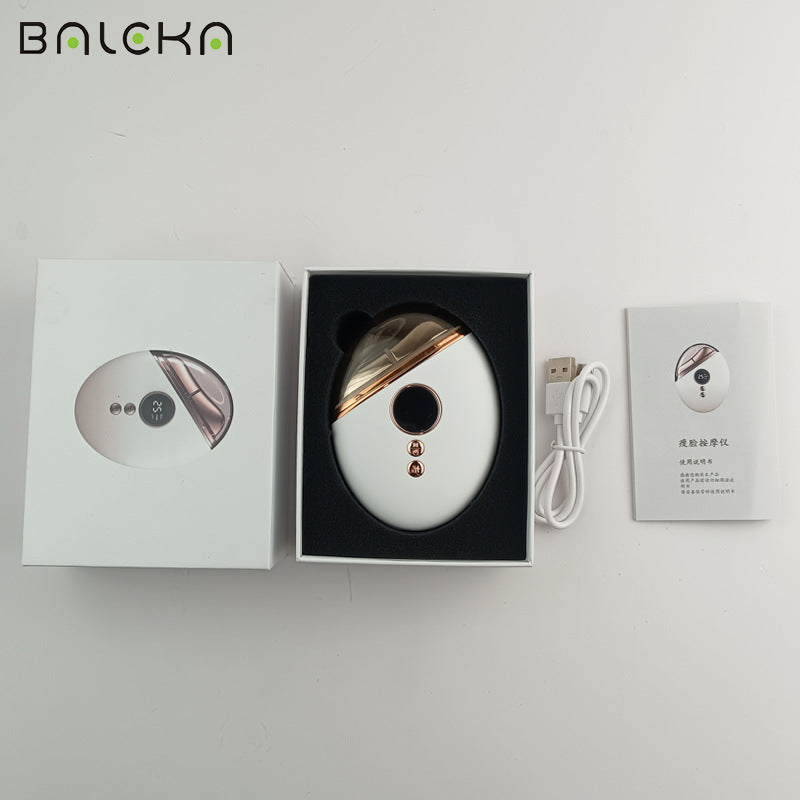 EMS Microcurrent Facial Device with Light Therapy