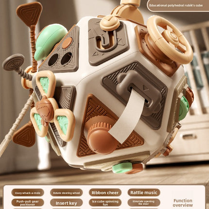 Multisensory Baby Activity Ball
