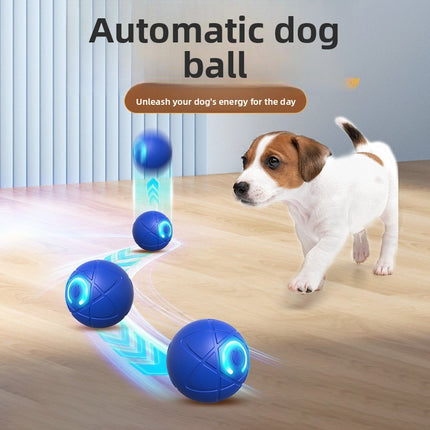 Smart Interactive Dog Ball Toy