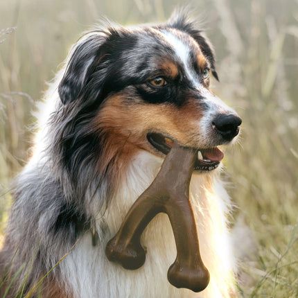 Durable Nylon Dog Chew Toy with Flavor Options