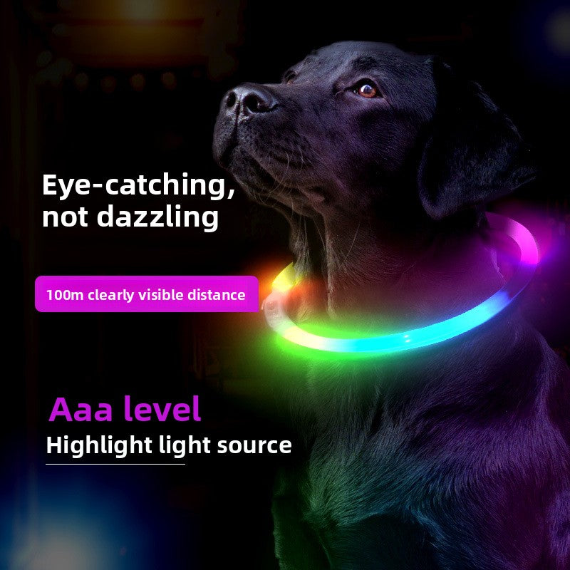 Dog and cat glow-in-the-dark collars