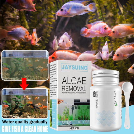 Algae and moss remover