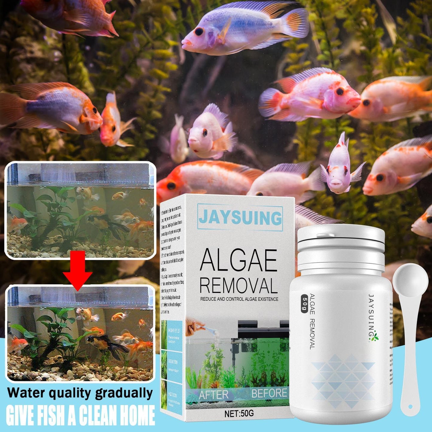 Algae and moss remover