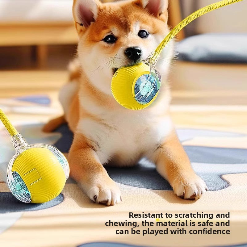 Automatic Interactive Dog Toy Ball with Obstacle Avoidance