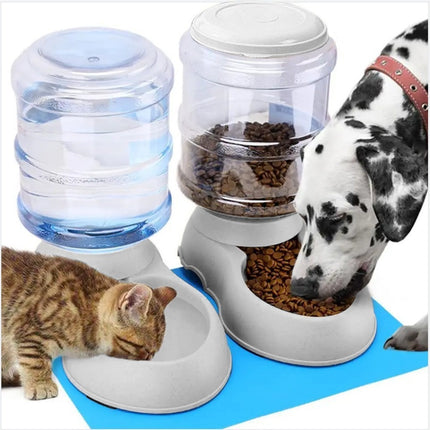 Pet Feeder and Water Dispenser