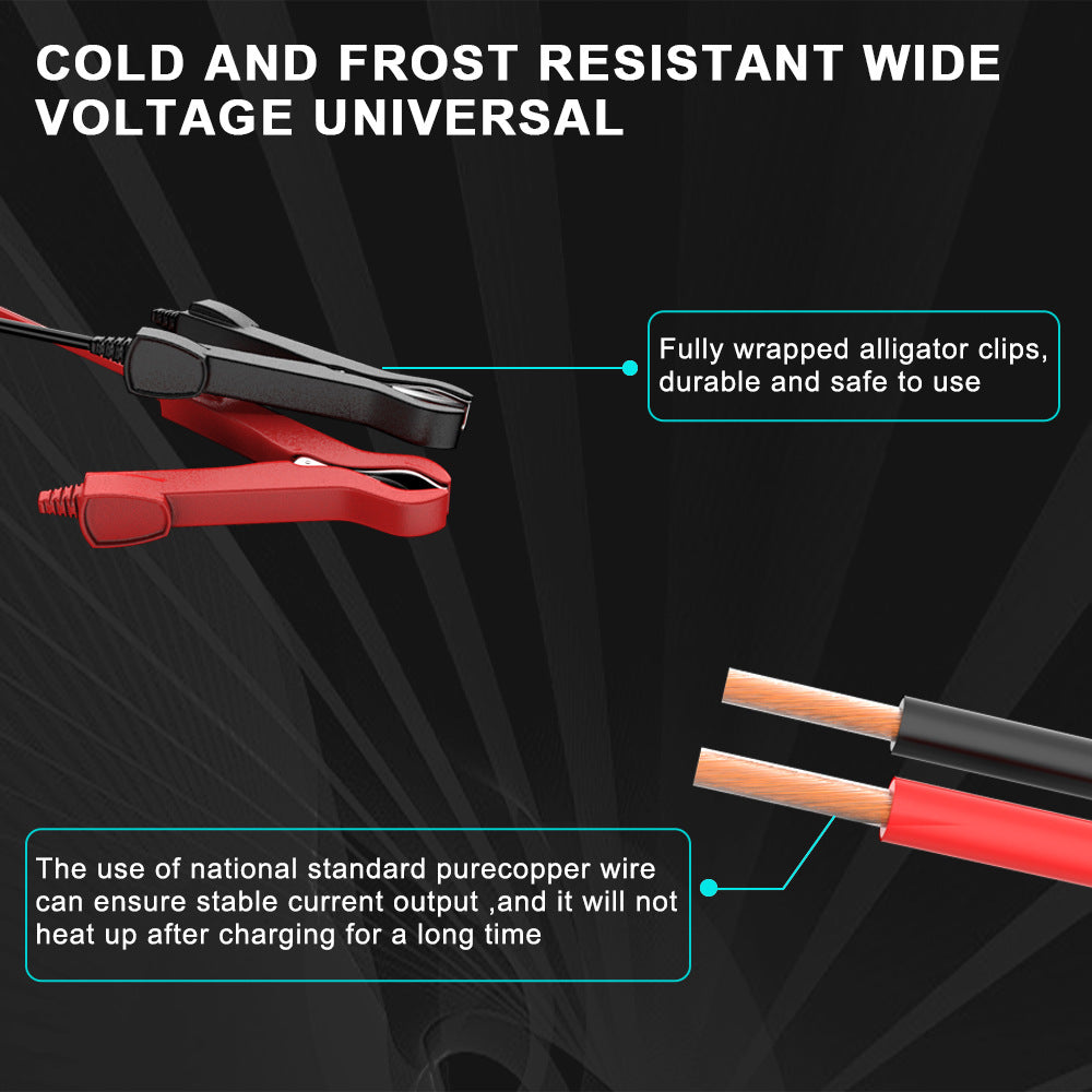12V6A Smart Battery Charger AGM Start Stop