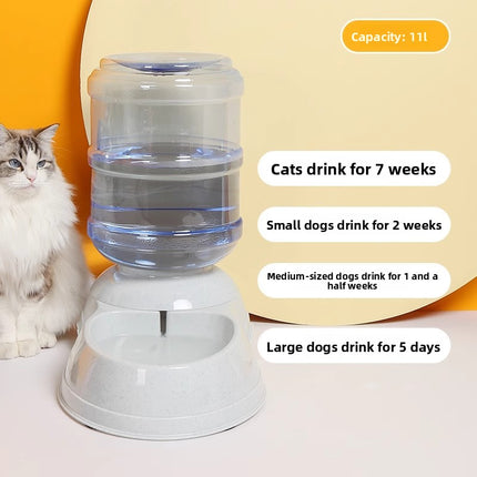 Cat water fountain