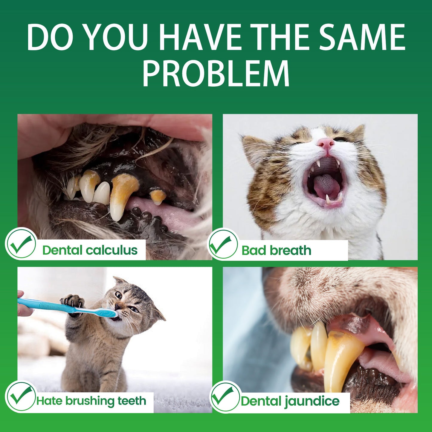 Natural Dog Teeth Cleaning Powder with Green Tea and Probiotics