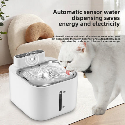 cat water fountain