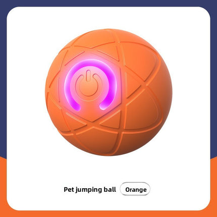 Smart Interactive Dog Ball Toy
