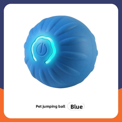Smart Interactive Dog Ball Toy
