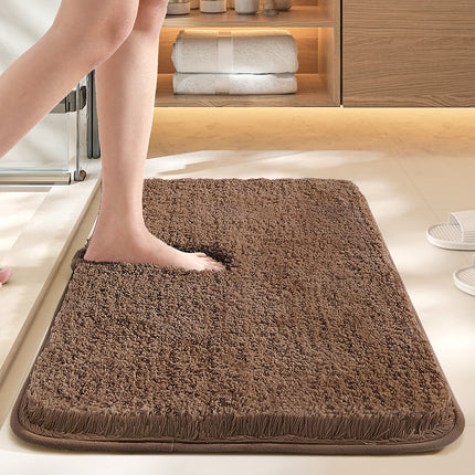 Absorbent Antibacterial Bathroom Floor Mat
