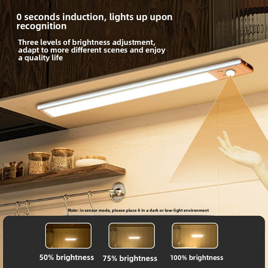 LED Cabinet Light