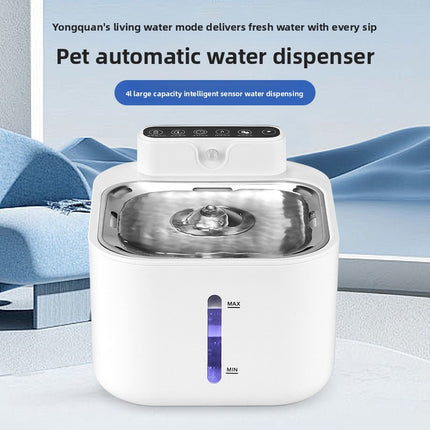 cat water fountain