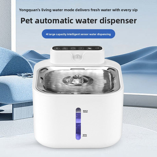 cat water fountain