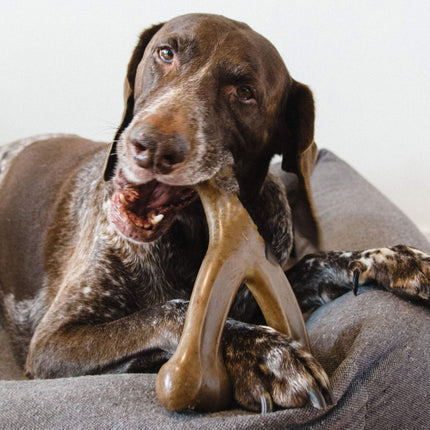 Durable Nylon Dog Chew Toy with Flavor Options