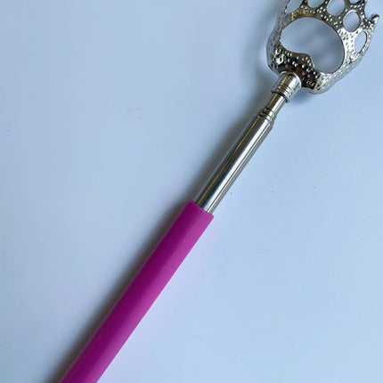 Adjustable Stainless Steel Bear Claw Back Scratcher
