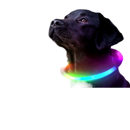 Dog and cat glow-in-the-dark collars