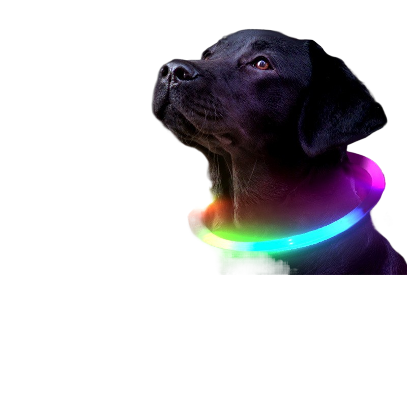 Dog and cat glow-in-the-dark collars