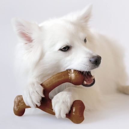 Durable Nylon Dog Chew Toy with Flavor Options