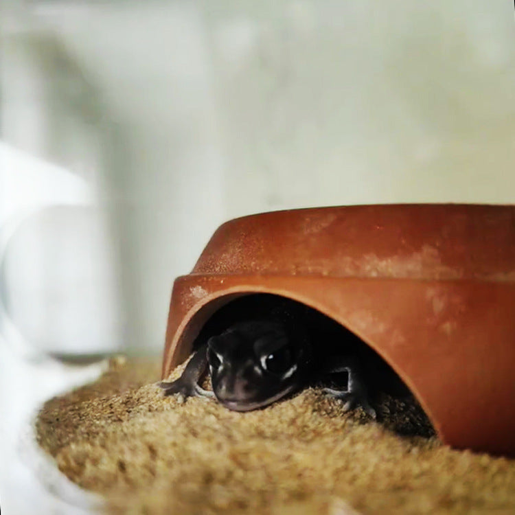 Reptile Hiding Cave Ceramic Terrarium Decor