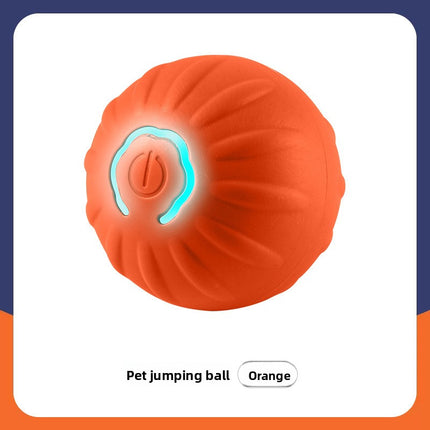 Smart Interactive Dog Ball Toy