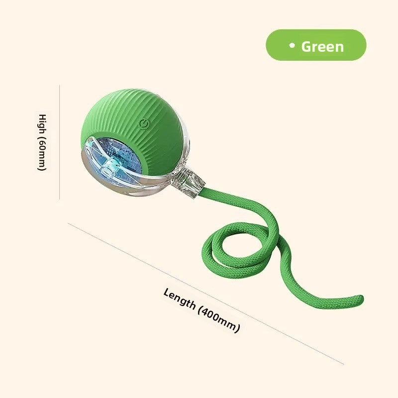 Automatic Interactive Dog Toy Ball with Obstacle Avoidance