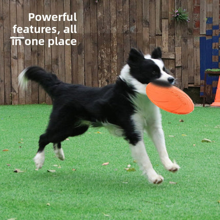 Dog Frisbee Toy
