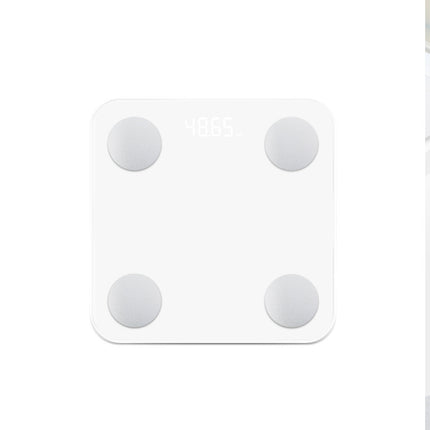 Electronic Scale