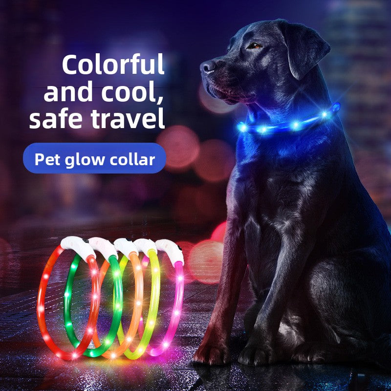 Dog and cat glow-in-the-dark collars