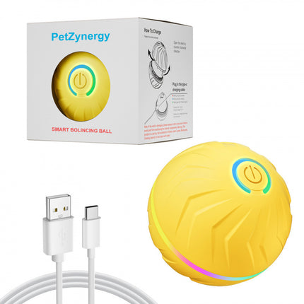 Smart Gravity Bouncing Ball Dog Toy