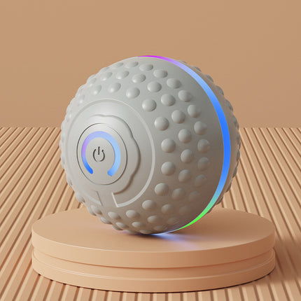 Smart Interactive Dog Ball Toy