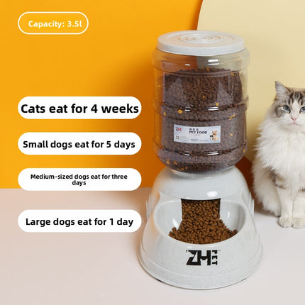 Cat water fountain