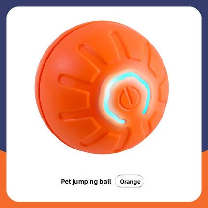 Smart Interactive Dog Ball Toy