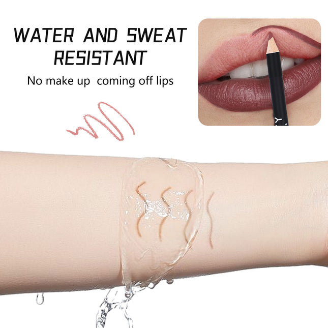 12-Color Matte Lipstick and Liner Set