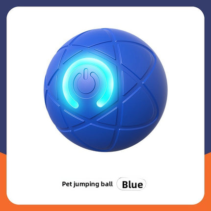 Smart Interactive Dog Ball Toy