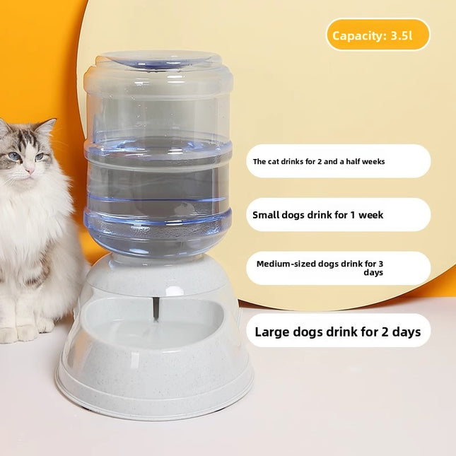 Cat water fountain