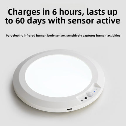 Wireless Sensor Ceiling Lamp with Remote Control