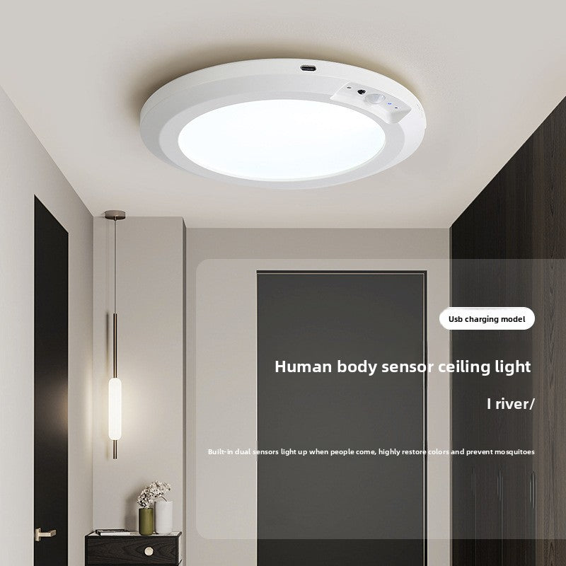 Wireless Sensor Ceiling Lamp with Remote Control