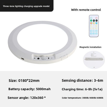Wireless Sensor Ceiling Lamp with Remote Control