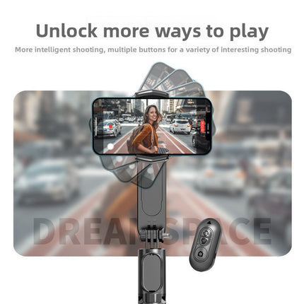 gimbal stabilizer