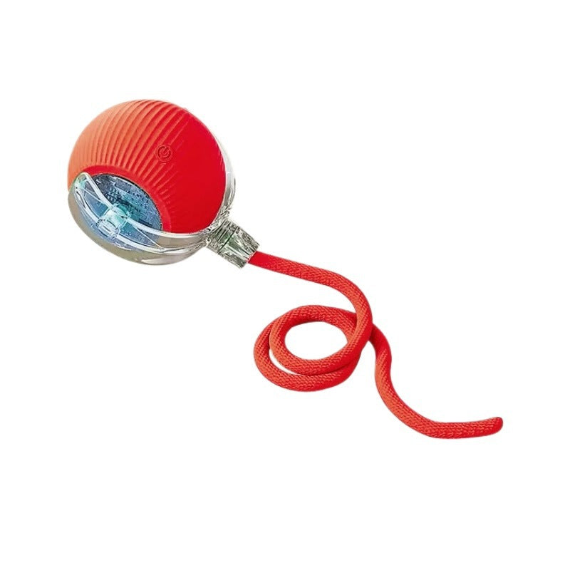 Automatic Interactive Dog Toy Ball with Obstacle Avoidance