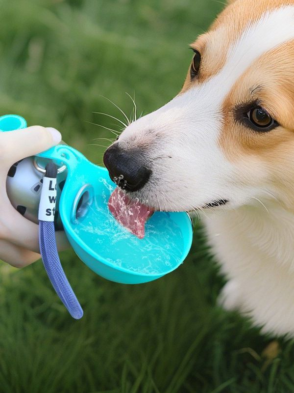 Portable Pet Dog Outdoor Water Bottle with Drinking Bowl